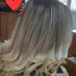 خدمات رنگ ولایت علمی