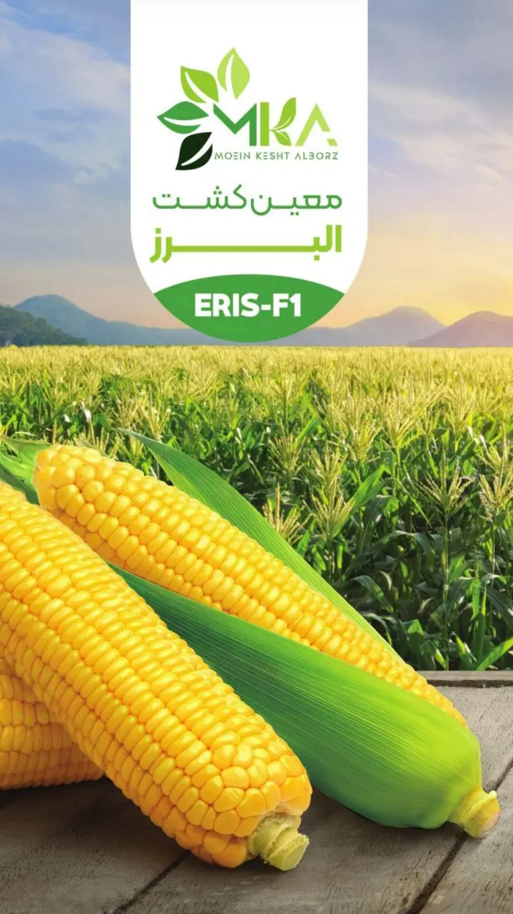معین کشت البرز