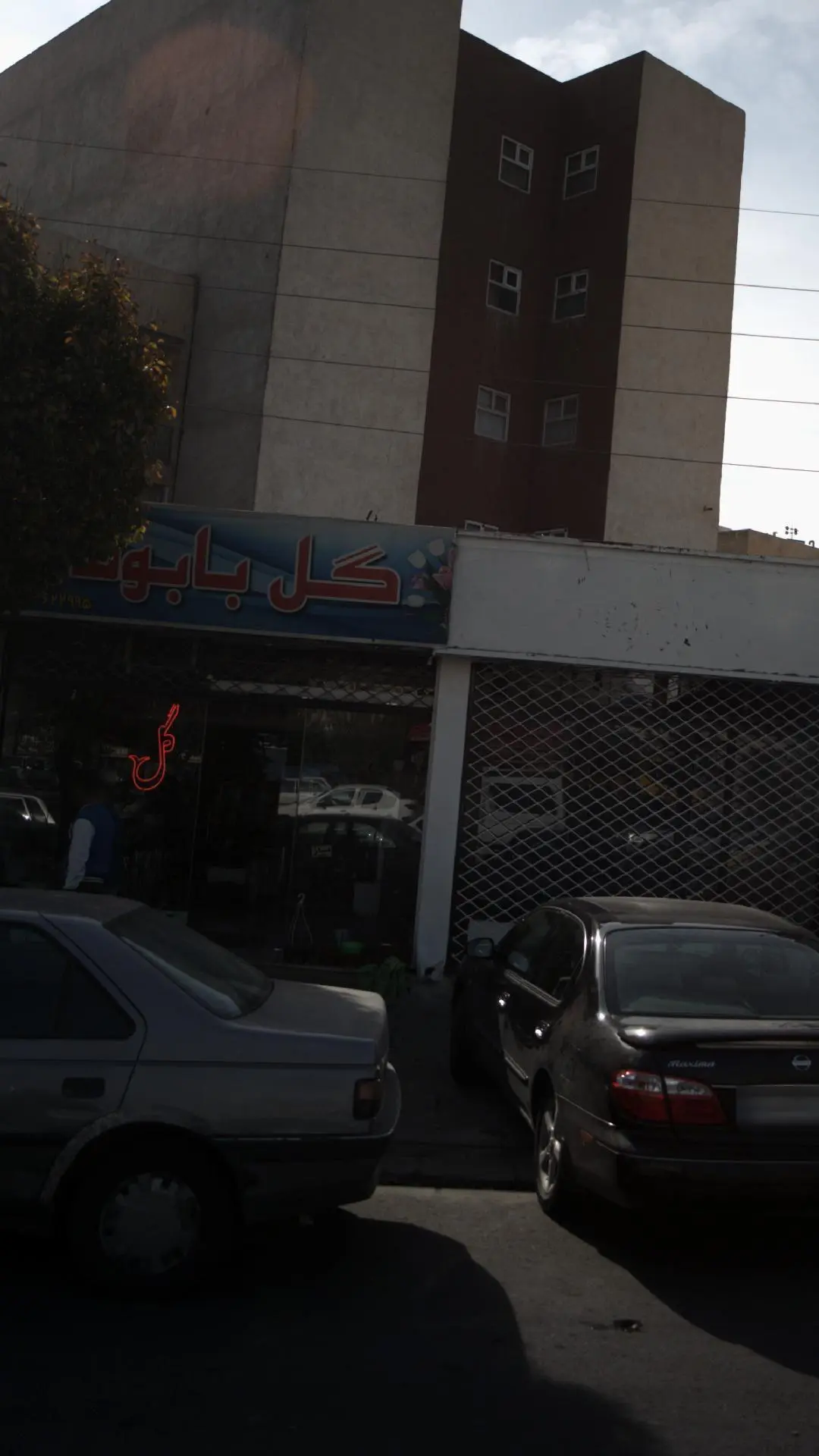 گل بابونه