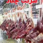 فروش گوشت و محصولات شترمرغ شرکت چکاد