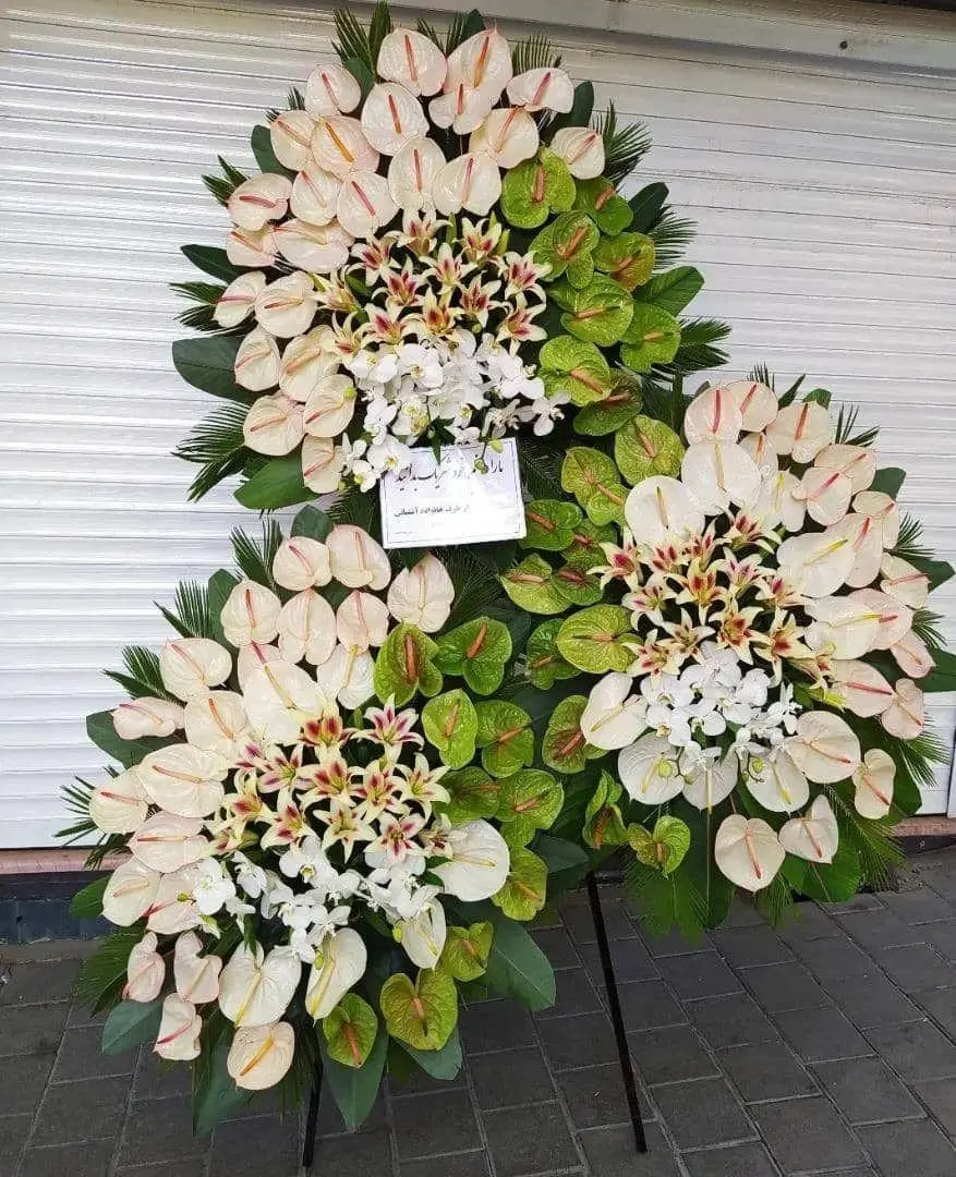 گالری گل رز