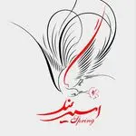 گل فروشی اسپرینگ