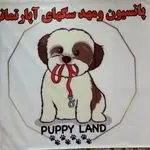 مهد سگ های آپارتمانی پاپی لند