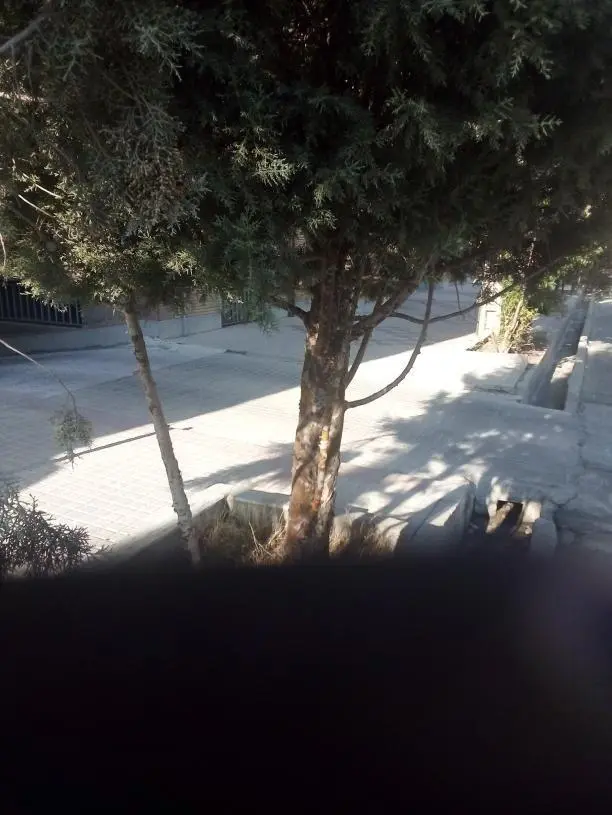 پارک پیک