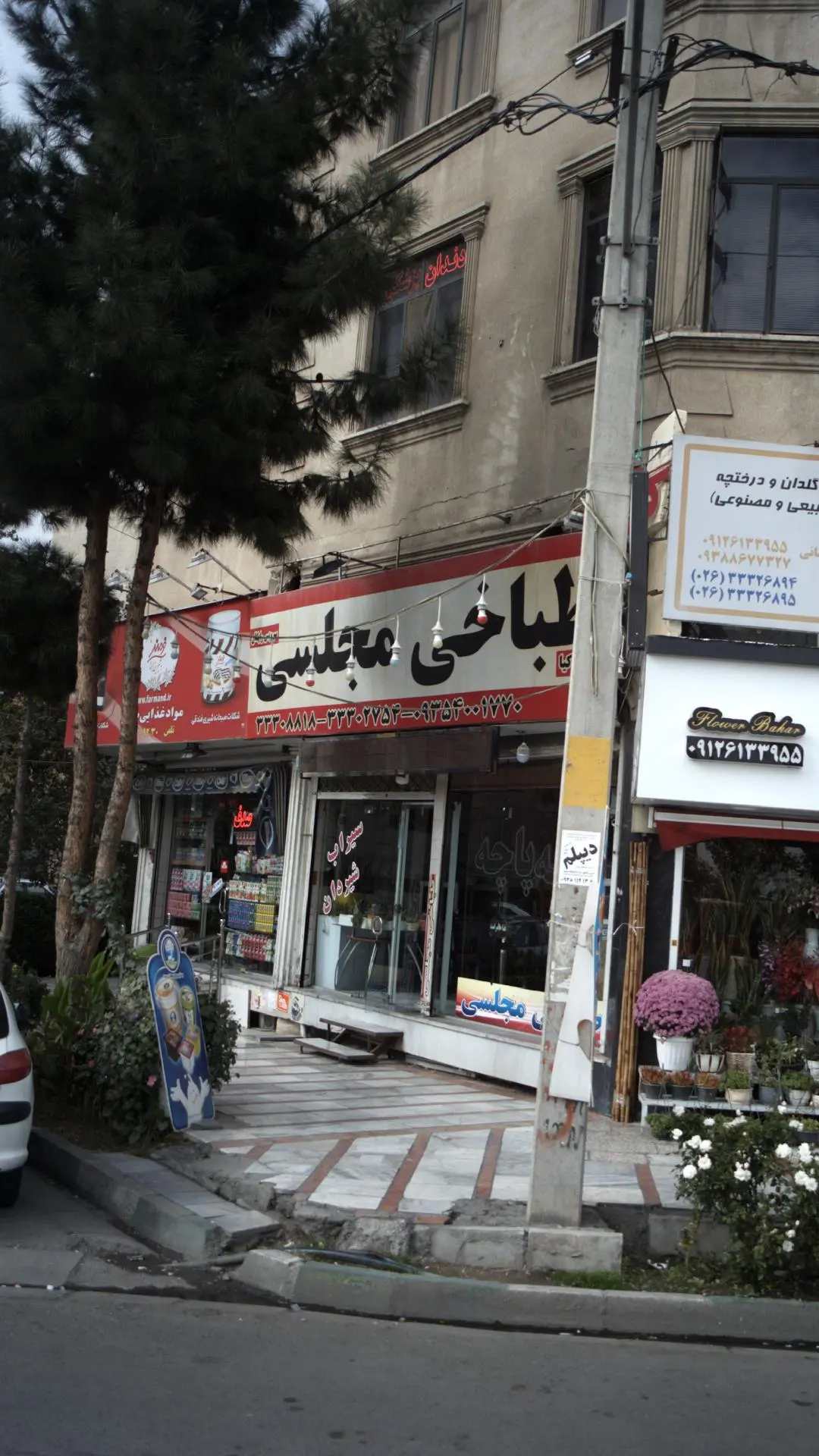 طباخی مجلسی