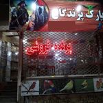 پرنده فروشی پارک پرندگان