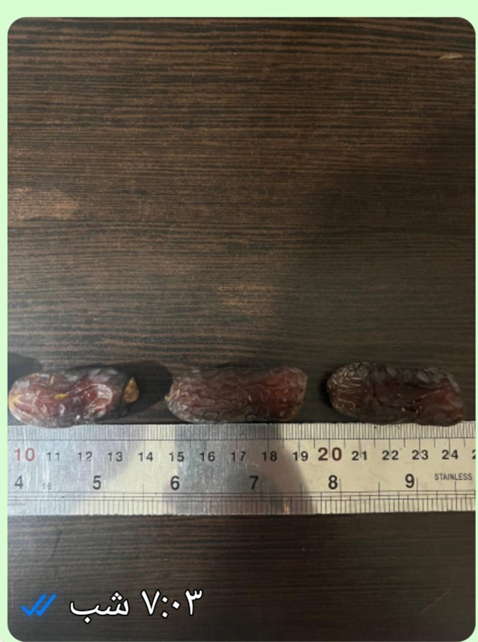 شرکت خرمای نوریال طبیعتی شیرین