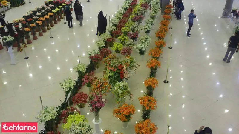 مشاوره،اجرا و نگهداری فضای سبز 
