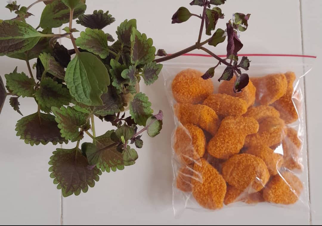 مزه لند | Maze land