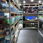 فروشگاه آکواریوم مامیران