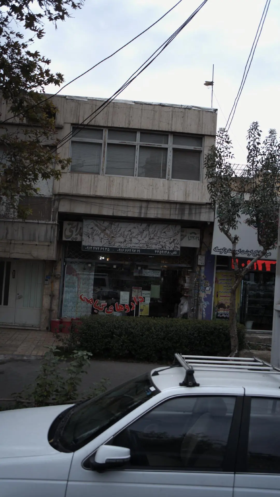 داروهای گیاهی